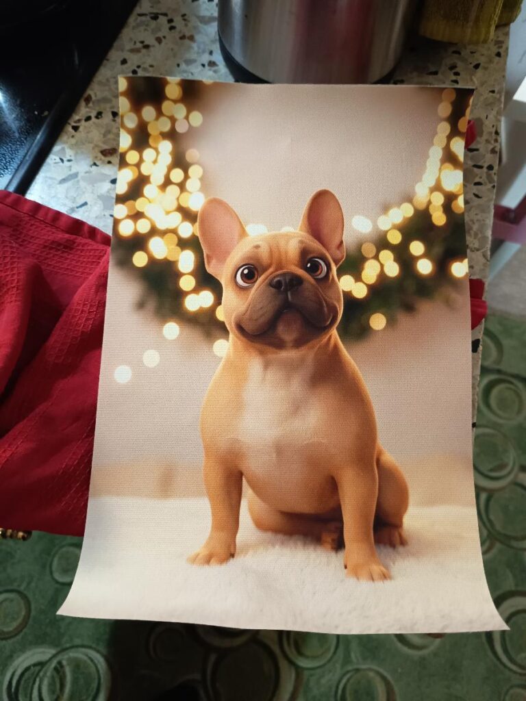 Image #1 from Layla Mitchell