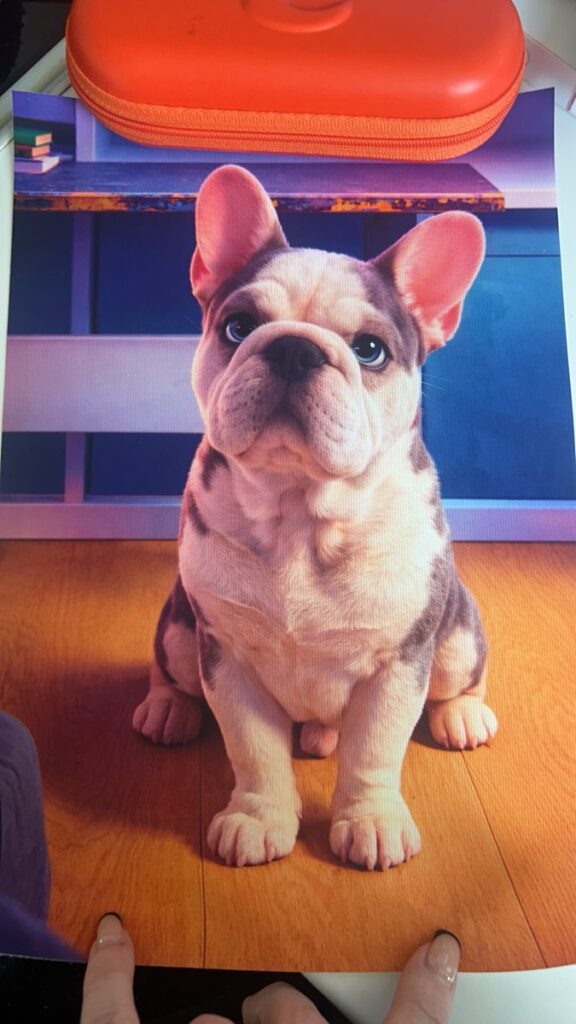 Image #1 from Nova Jenkins