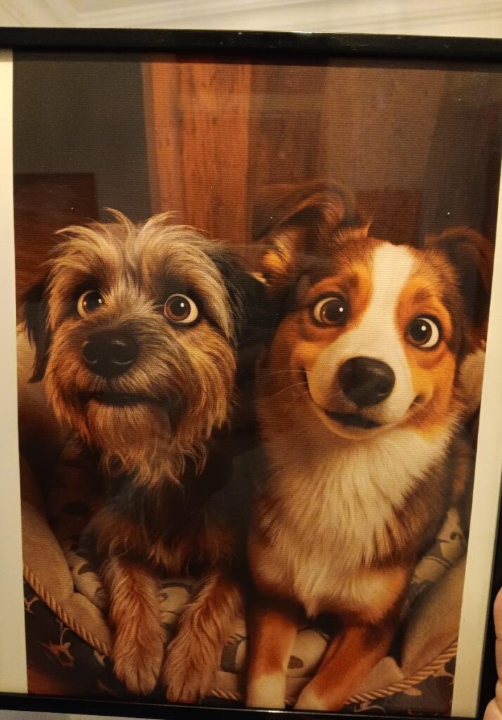 Image #2 from Penelope Ward