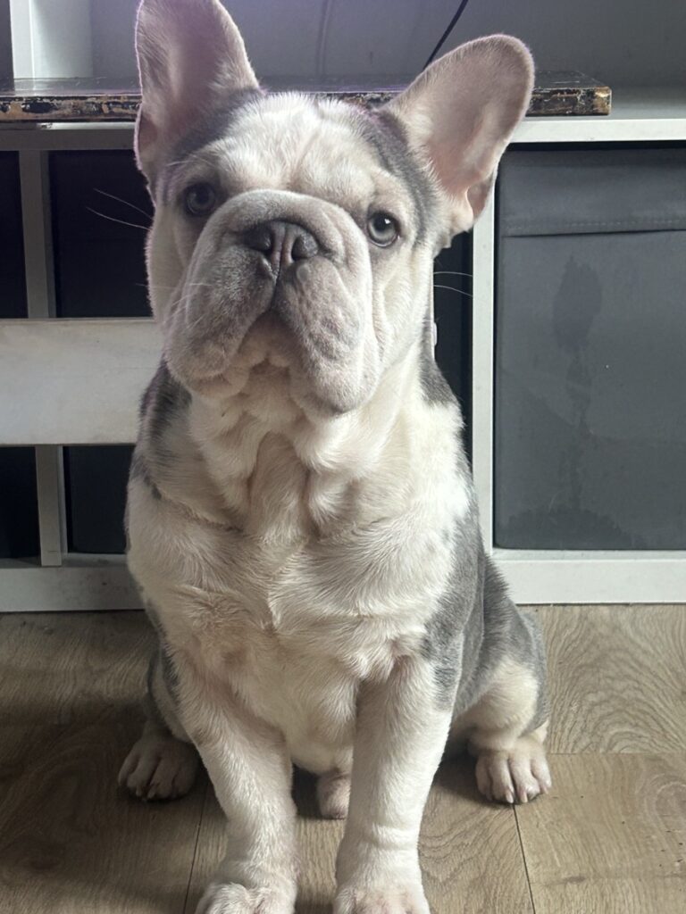 Image #2 from Nova Jenkins