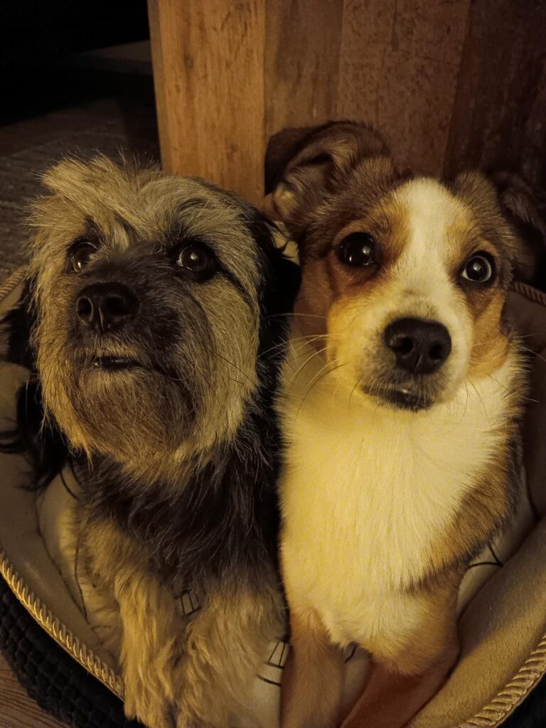 Image #1 from Penelope Ward