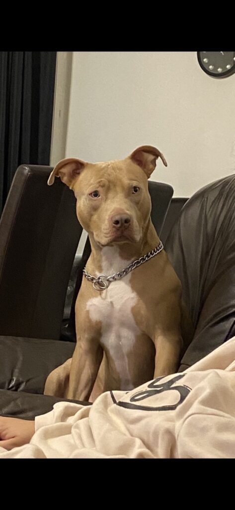 Image #2 from Caleb Hughes